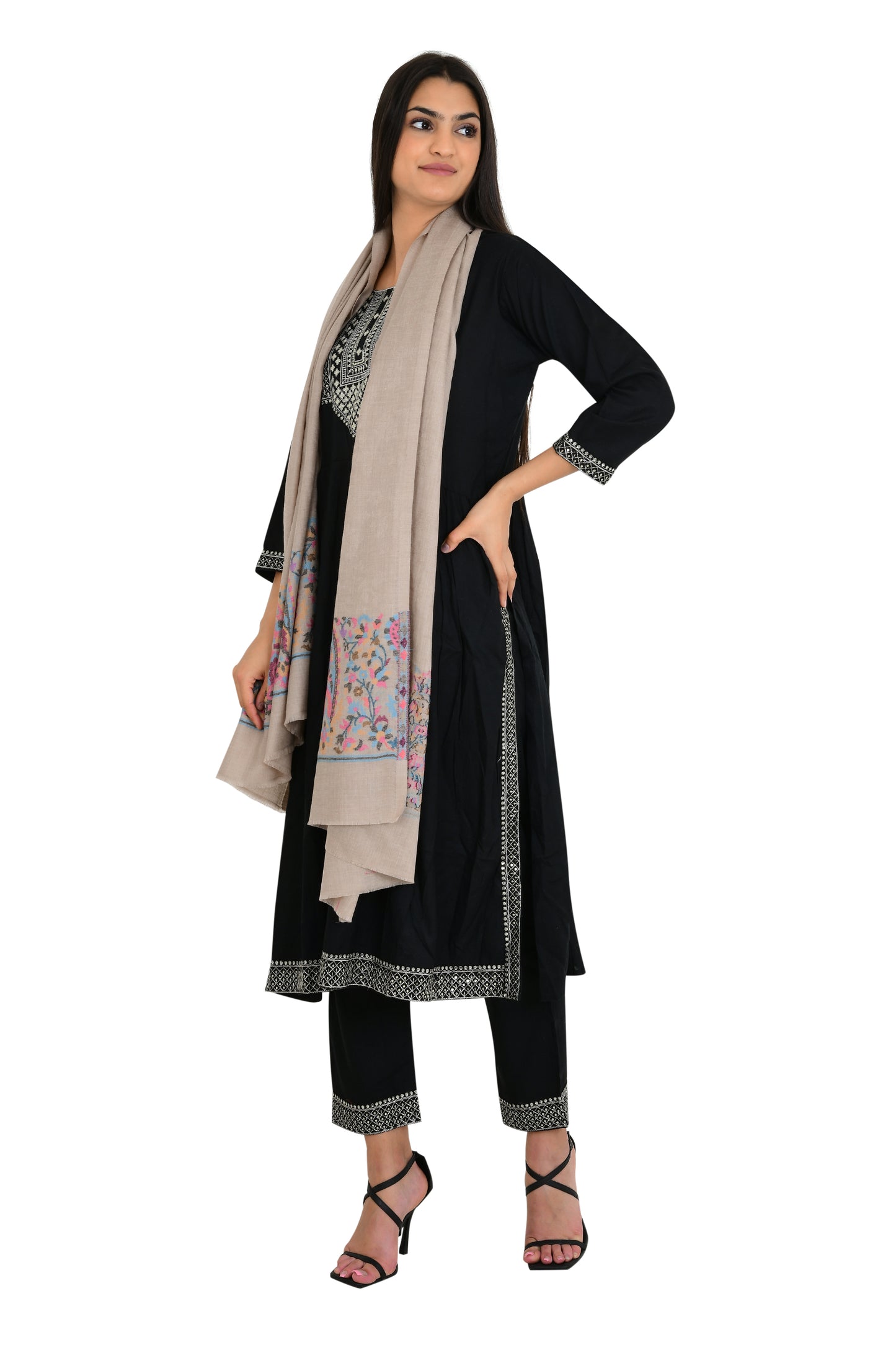 Fine wool beige color stole shawl for women with exquisite border weaving